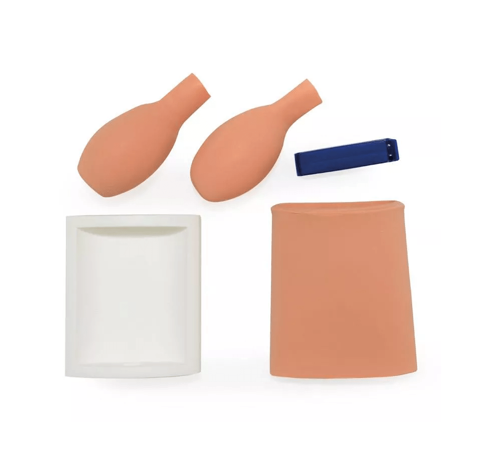 Blasenpunktionstrainer (Zystozentese) - Erler - Zimmer